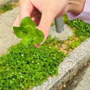 ヒメ日記 2026/04/15 19:45 投稿 ゆい★イチャ好きの現役保育士 Bell～S級美女お姉様・人妻デリヘル～