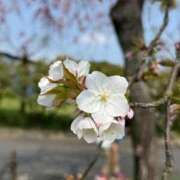 芹 残り2枠❤︎ 多治見・土岐・春日井ちゃんこ