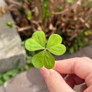 ヒメ日記 2026/04/13 10:09 投稿 芹 多治見・土岐・春日井ちゃんこ