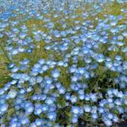 ヒメ日記 2026/04/19 08:34 投稿 ひまり 夜這専門発情する奥様たち 谷九店