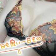 ヒメ日記 2026/05/13 07:31 投稿 ひまり 夜這専門発情する奥様たち 谷九店