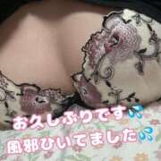ヒメ日記 2026/06/18 14:41 投稿 ひまり 夜這専門発情する奥様たち 谷九店