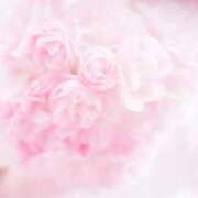 るる はじめまして🌸 水戸人妻花壇