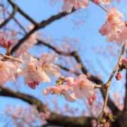 ヒメ日記 2026/04/07 02:30 投稿 えれな すごいエステ仙台店