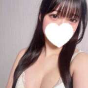 ヒメ日記 2026/04/16 07:43 投稿 ねこ ていくぷらいど.学園