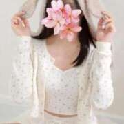 ヒメ日記 2026/04/08 16:38 投稿 なぎ アラモード