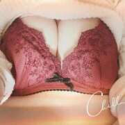 ヒメ日記 2026/04/06 12:21 投稿 円　まどか（32） 出会い系人妻ネットワーク 熊谷編