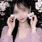 ヒメ日記 2026/04/10 17:23 投稿 真凛(まりん) ルピナス