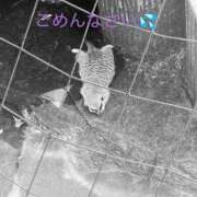 ヒメ日記 2026/09/27 07:44 投稿 ほたる スイカ