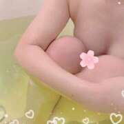 ヒメ日記 2026/04/17 19:30 投稿 桜井　まゆか プルプル人妻専門店