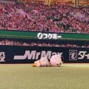ヒメ日記 2026/05/29 17:01 投稿 桜井　まゆか プルプル人妻専門店
