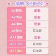 ヒメ日記 2026/04/06 12:42 投稿 琥珀 I❤HIMEJI（アイラブ姫路）