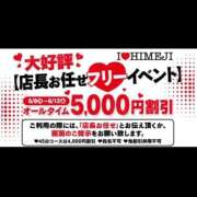ヒメ日記 2026/06/08 10:14 投稿 琥珀 I❤HIMEJI（アイラブ姫路）
