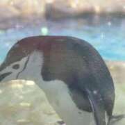 平 あかり こんばんわ⭐️ Canx2神戸店