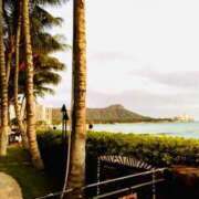 ヒメ日記 2026/04/18 11:20 投稿 ありす ストロベリーハウス