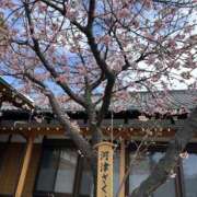 ヒメ日記 2026/04/15 11:40 投稿 ありす コレクション