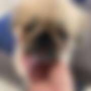 ヒメ日記 2026/04/17 07:18 投稿 ありす コレクション