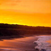 ありす 本当にごめんなさい。 コレクション