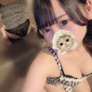 ヒメ日記 2026/04/24 15:17 投稿 こざくら ビギナーズ神戸