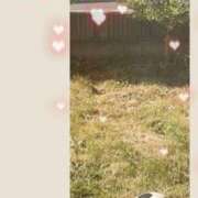 ヒメ日記 2026/04/22 08:29 投稿 西島 今日子 熟女パラダイス鶯谷店(カサブランカグループ)