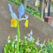 めろり 本日の出勤😵‍💫💦 ハピネス東京