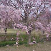 ヒメ日記 2026/04/21 21:04 投稿 榊原かほ 五十路マダム 岐阜店