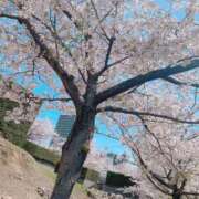 ヒメ日記 2026/04/06 18:07 投稿 Ｙuki(ゆき) AMATERAS(アマテラス)(福山)