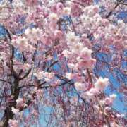 ヒメ日記 2026/04/08 12:42 投稿 みなこ 美熟女倶楽部Hip's 春日部店