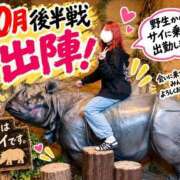 ヒメ日記 2026/10/14 07:33 投稿 みなこ 美熟女倶楽部Hip's 春日部店