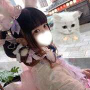 ヒメ日記 2026/04/10 22:03 投稿 みるも ルーフ福井