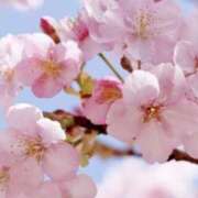 ヒメ日記 2026/04/10 18:18 投稿 戸田愛実(とだあいみ) 五十路マダムエクスプレス厚木店(カサブランカグループ)