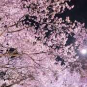 ヒメ日記 2026/04/10 18:36 投稿 戸田愛実(とだあいみ) 五十路マダムエクスプレス厚木店(カサブランカグループ)