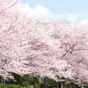 ヒメ日記 2026/04/10 18:42 投稿 戸田愛実(とだあいみ) 五十路マダムエクスプレス厚木店(カサブランカグループ)