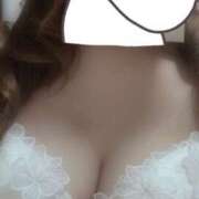 ヒメ日記 2026/04/20 14:51 投稿 つむぎ プッシーキャット