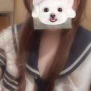 ヒメ日記 2026/04/28 15:57 投稿 つむぎ プッシーキャット