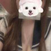 ヒメ日記 2026/04/29 13:48 投稿 つむぎ プッシーキャット