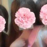 ヒメ日記 2026/06/13 22:18 投稿 つむぎ プッシーキャット