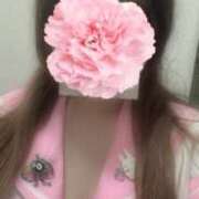 ヒメ日記 2026/06/25 08:03 投稿 つむぎ プッシーキャット