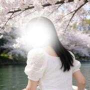 ヒメ日記 2026/04/13 19:10 投稿 波瑠(はる) 人妻出逢い会 百合の園 山の手本店