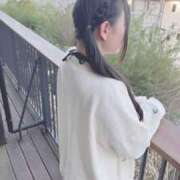 ひかる 🌟退勤したよ🐥⸒⸒ 綺麗なお姉様専門　新横浜リング4C（アンジェリークグループ）