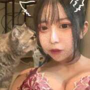 ヒメ日記 2026/04/09 19:19 投稿 藤之（ふじの） ジュリアングループ八王子店