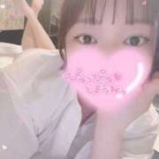 ヒメ日記 2026/04/09 11:13 投稿 ももは 桃李（とうり）