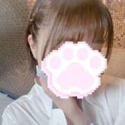 ヒメ日記 2026/04/09 12:03 投稿 ももは 桃李（とうり）