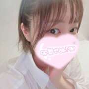 ヒメ日記 2026/04/12 21:02 投稿 ももは 桃李（とうり）