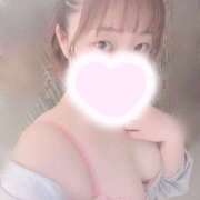 ヒメ日記 2026/04/13 15:32 投稿 ももは 桃李（とうり）