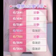 ヒメ日記 2026/06/03 22:02 投稿 ももは 桃李（とうり）
