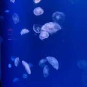 ヒメ日記 2026/04/07 12:22 投稿 たくみ スピードエコ難波店