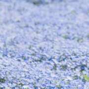 ヒメ日記 2026/04/26 09:56 投稿 ゆきな エディーズ