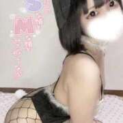 ちわわ Twitter！！！ ジャパンクラブ富士