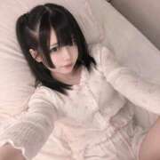 ちわわ ひさ❣️ ジャパンクラブ富士